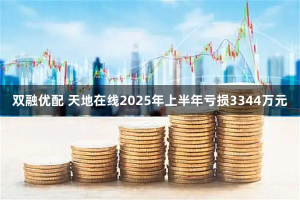 双融优配 天地在线2025年上半年亏损3344万元