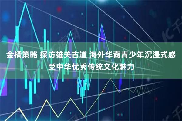 金橘策略 探访雄关古道 海外华裔青少年沉浸式感受中华优秀传统文化魅力